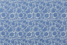 Load image into Gallery viewer, Pair of Paloma Delft Pillows