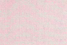 Load image into Gallery viewer, Pair of Ceylon Borscht Pillows