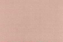 Load image into Gallery viewer, Ceylon Grapefruit Pillow