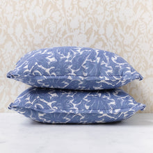 Load image into Gallery viewer, Pair of Paloma Delft Pillows