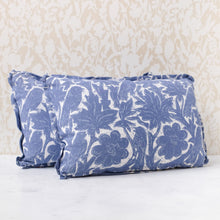 Load image into Gallery viewer, Pair of Paloma Delft Pillows