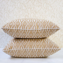 Load image into Gallery viewer, Pair of Dominic Husk Pillows