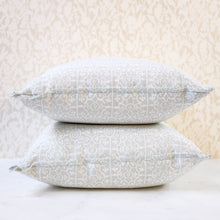 Load image into Gallery viewer, Pair of Patra Robin's Egg Hemp Silk Pillows