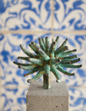 Load image into Gallery viewer, "Bushy Yate" - Michael Schmitt