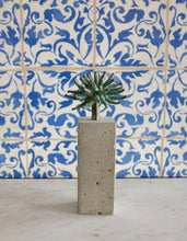 Load image into Gallery viewer, "Bushy Yate" - Michael Schmitt