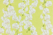 Load image into Gallery viewer, Celeste Lima Remnant - 36&quot;
