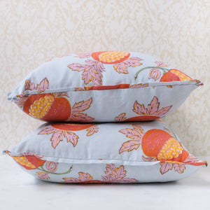 Pair of Eve Robin's Egg Pillows