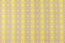 Load image into Gallery viewer, Amijao Puka Shell Remnant - 36"

