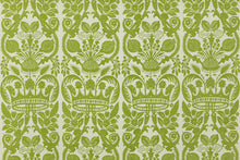 Load image into Gallery viewer, Royal Palm Sprout Remnant -38&quot;
