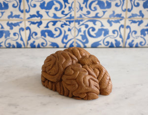 Carved Brain Sculpture